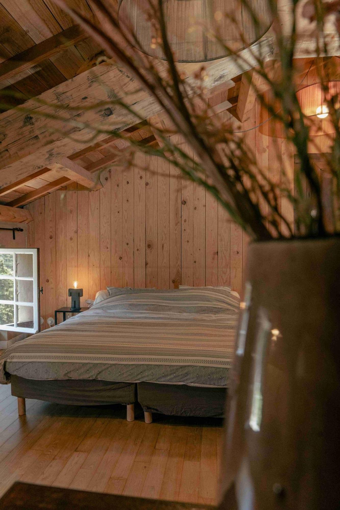 Fount Estremiero - Chambres & Tables D'Hotes Castans Exterior foto